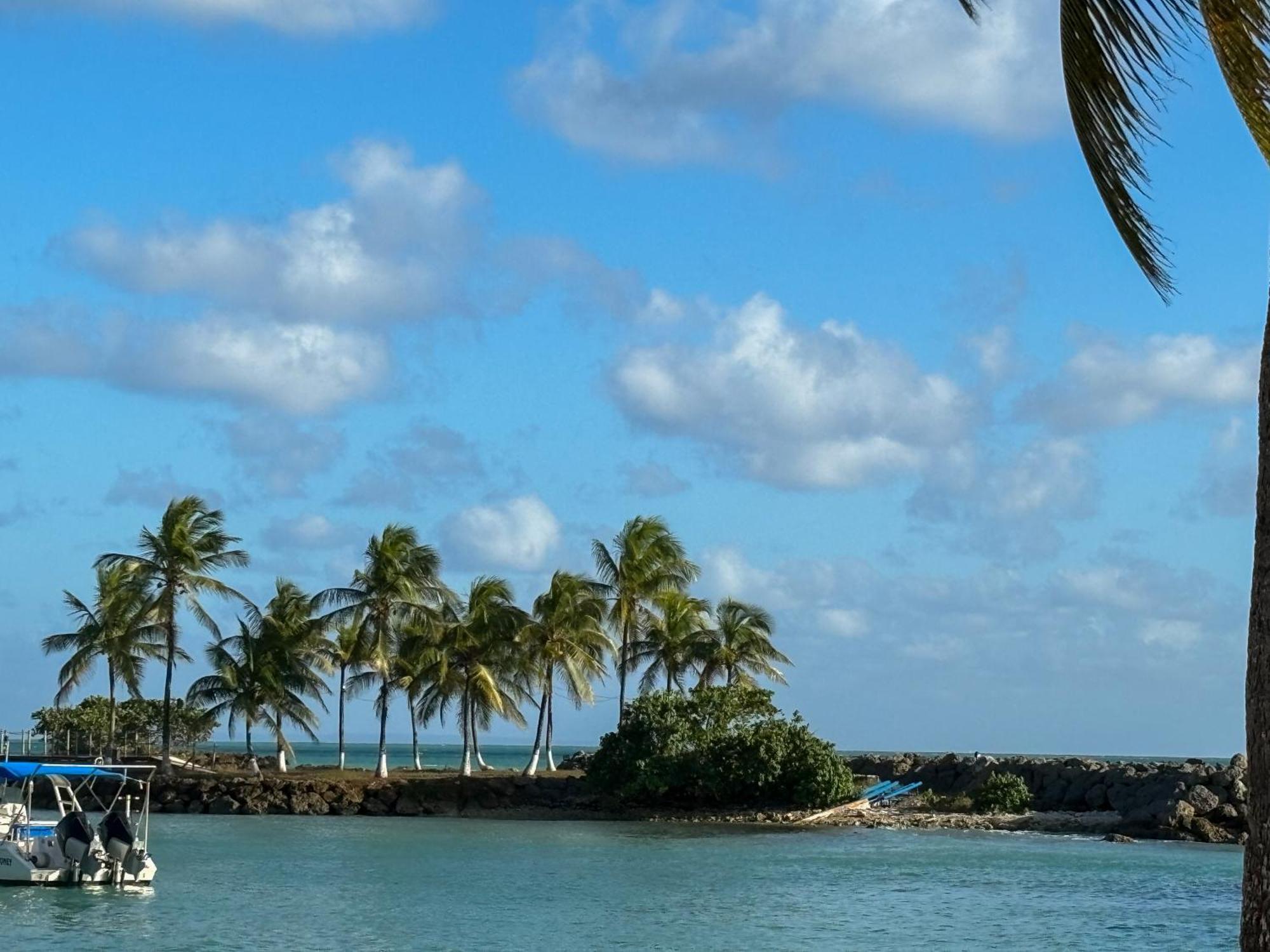Charmant Studio Vue Mer Sans Coupure D'Eau Le Gosier  Exterior foto