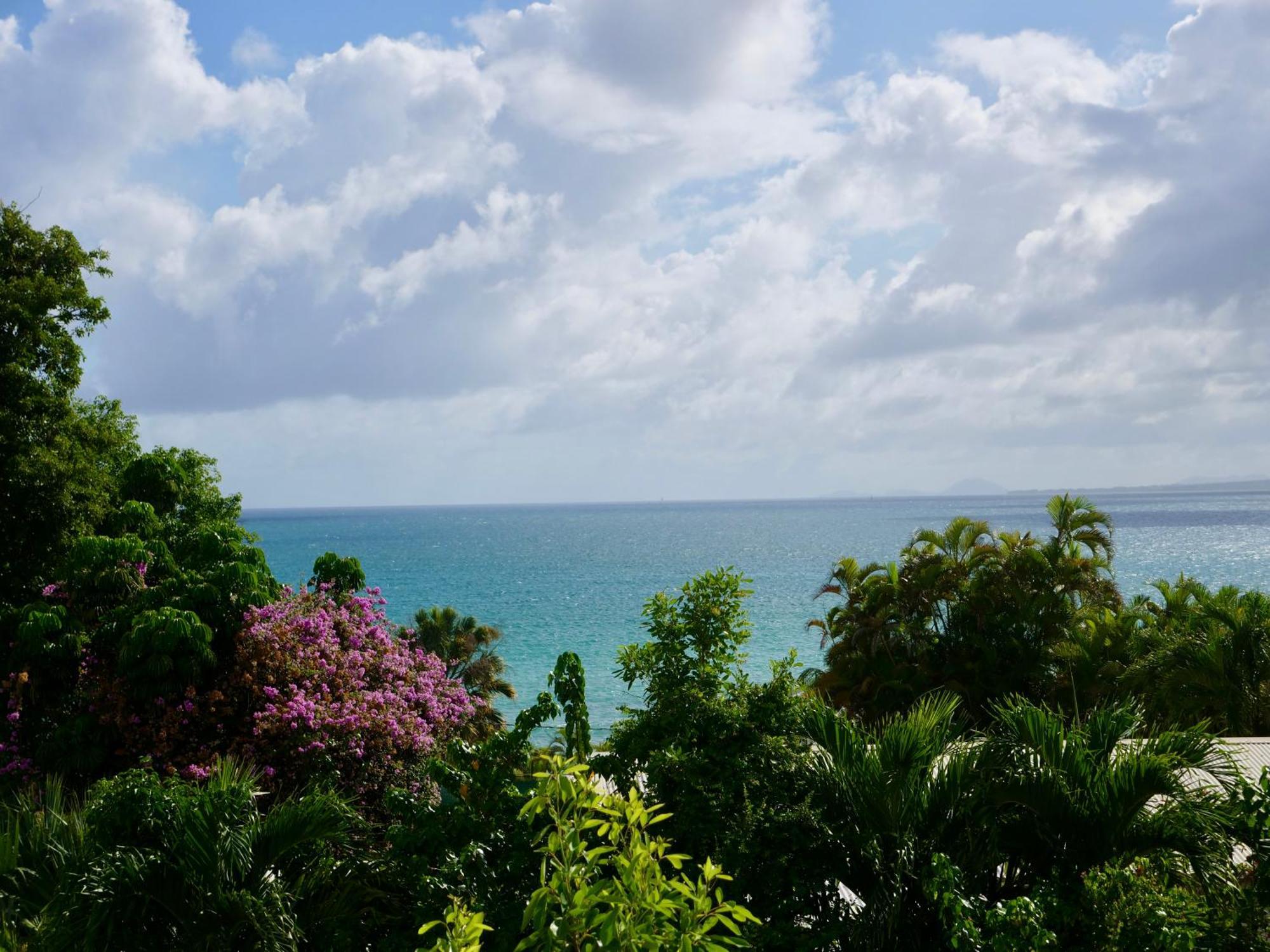 Charmant Studio Vue Mer Sans Coupure D'Eau Le Gosier  Exterior foto